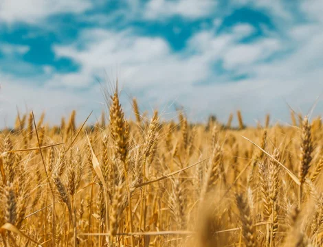 Děkujeme všem těžařům za podporu Ukrajiny